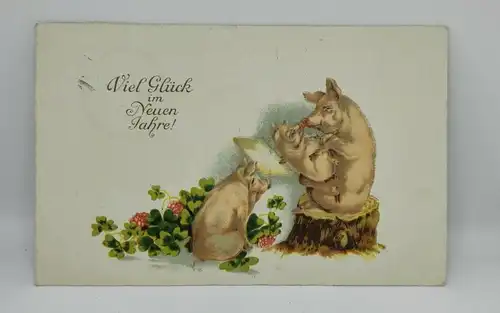 E801/ antike Neujahrskarte Neujahrsgruß Glücksschwein Niesky 1929