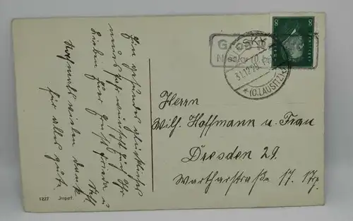 E801/ antike Neujahrskarte Neujahrsgruß Glücksschwein Niesky 1929