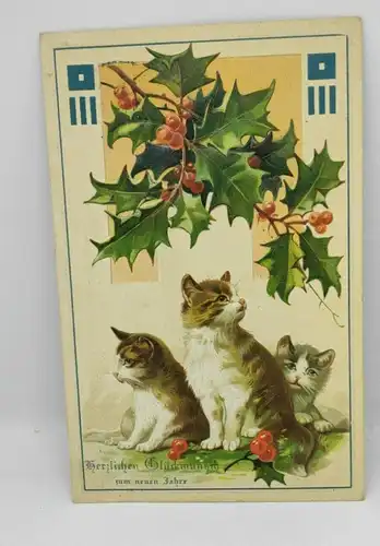 E801/ antike Neujahrskarte Neujahrsgruß um 1910 Katzen Prägekarte