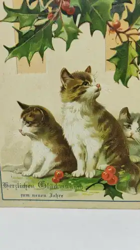 E801/ antike Neujahrskarte Neujahrsgruß um 1910 Katzen Prägekarte