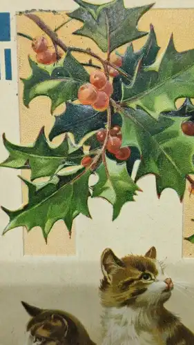 E801/ antike Neujahrskarte Neujahrsgruß um 1910 Katzen Prägekarte