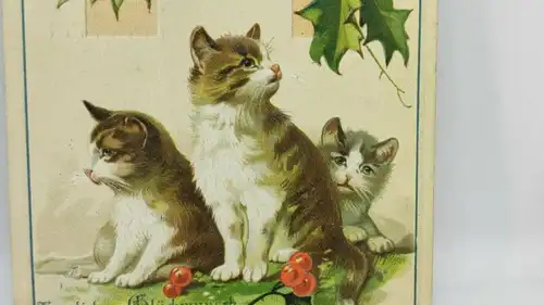 E801/ antike Neujahrskarte Neujahrsgruß um 1910 Katzen Prägekarte