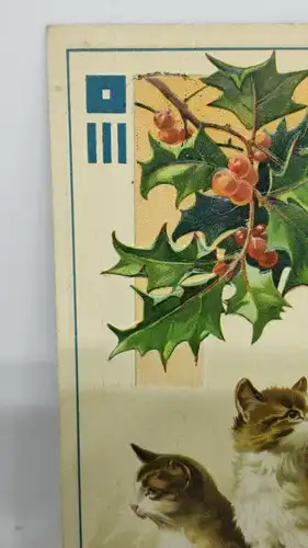 E801/ antike Neujahrskarte Neujahrsgruß um 1910 Katzen Prägekarte