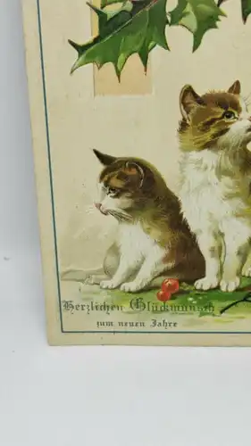 E801/ antike Neujahrskarte Neujahrsgruß um 1910 Katzen Prägekarte