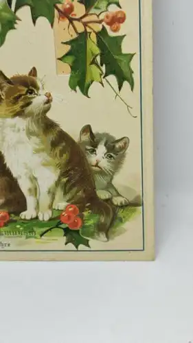 E801/ antike Neujahrskarte Neujahrsgruß um 1910 Katzen Prägekarte