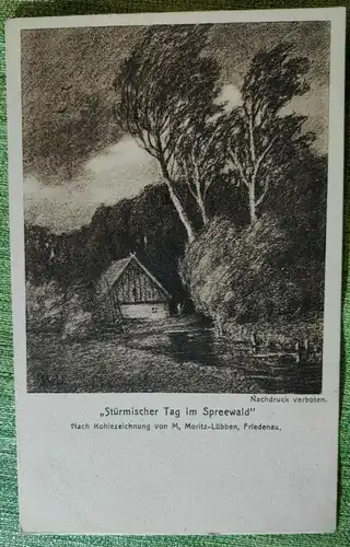 E803/ 4 x Ansichtskarte Spreewald 1915