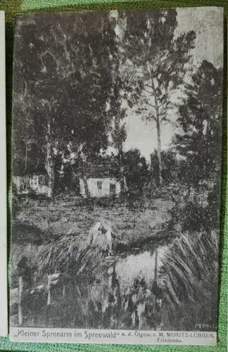 E803/ 4 x Ansichtskarte Spreewald 1915