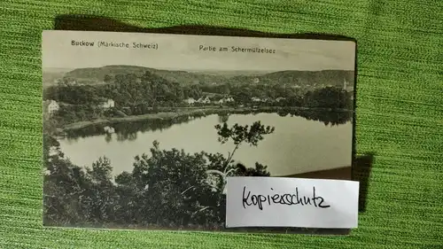 E803/ alte AK - Buckow (Märkische Schweiz) Partie am Scharmützelsee