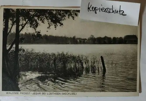 E882/ AK Ansichtskarte Waldsee Probst - Jesar bei Lübtheen Mecklenburg