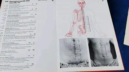 G470/ B.D.Schrecke/G.J,Wertsch*Lehrbuch der modernen u. klassischen Akupunktur