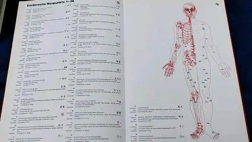 G470/ B.D.Schrecke/G.J,Wertsch*Lehrbuch der modernen u. klassischen Akupunktur