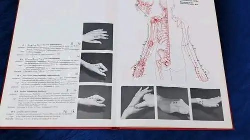 G470/ B.D.Schrecke/G.J,Wertsch*Lehrbuch der modernen u. klassischen Akupunktur