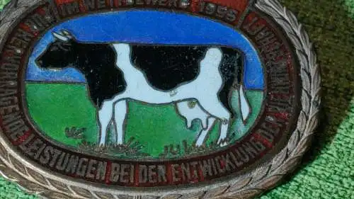 E880/ Abzeichen DDR Sieger im Wettbewerb 1955 " der Kuhorden"