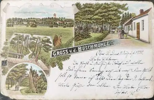 Alte Ansichtskarte Gruß von der Buschmühle stark gebraucht 