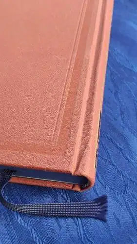 F683/ Jules Verne - Die Gestrandeten 1 - Reprint Hartleben