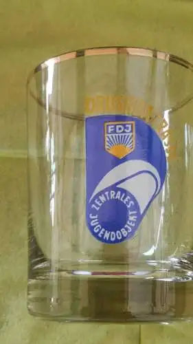 E880/ Glas DDR Zentrales Jugendobjekt Drushba Trasse