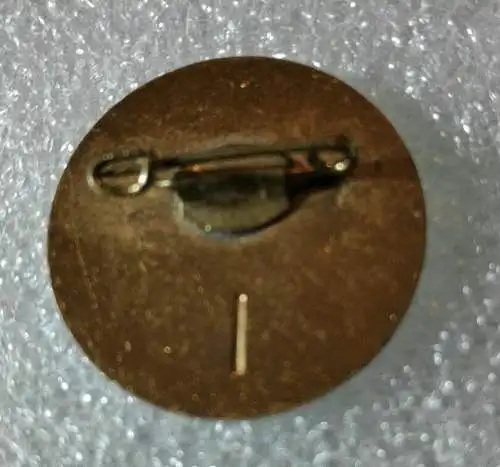 E880/ DDR FDJ Abzeichen Deutschlandtreffen der Jugend 1964