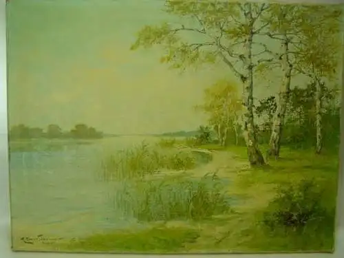 GB663/ Bild Birken am See K.Gross Sattelmair