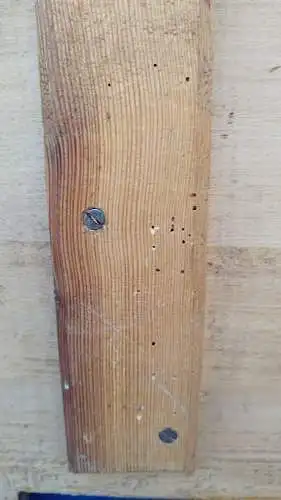 Großes dekoratives Jugendstil Haussegen Schild Brandmalerei Holz Hotel 