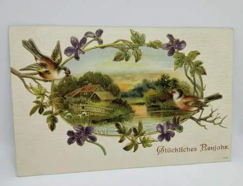 E801/ antike Neujahrskarte Neujahrsgruß 