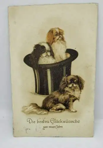 E801/ antike Neujahrskarte Neujahrsgruß Pekinese