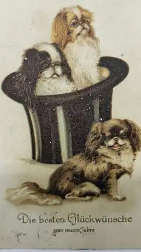 E801/ antike Neujahrskarte Neujahrsgruß Pekinese