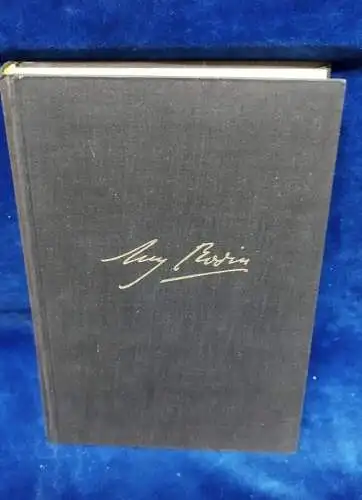 G293/ Auguste Rodin von Rainer Maria Rilke mit 96 Vollbildern