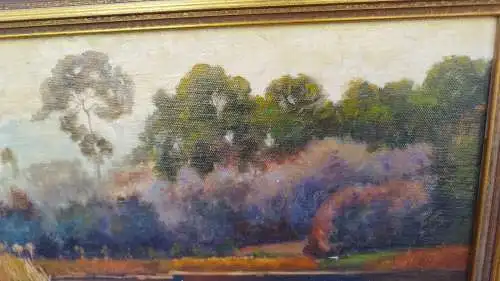 G384/ Ölbild Landschaftsbild am Weiher  Ölgemälde am Teich signiert S.Koch 