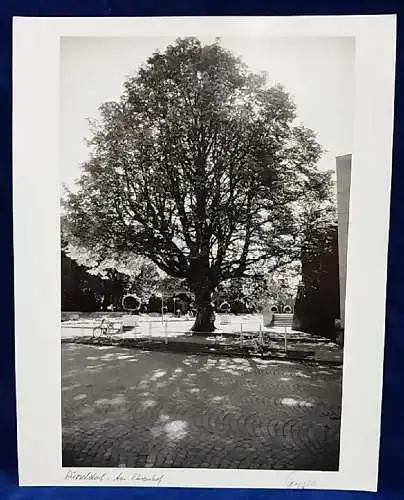  Altes Foto Düsseldorf Am Ehrenhof Original Leica Print Dr. Grygiel 30 X 24 cm 