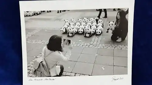  Altes Foto Köln Original Leica Print Dr. Grygiel 30 X 24 cm 