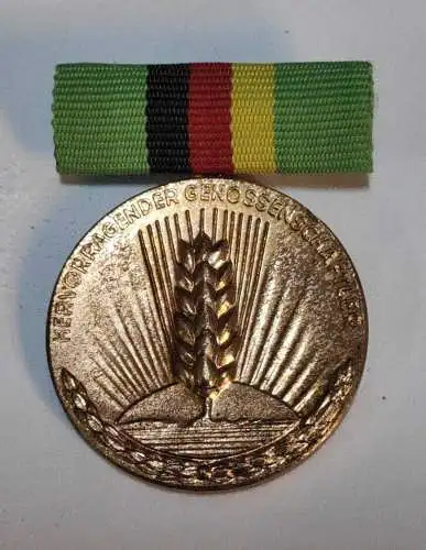E880/Ehrentitel DDR Medaille hervorragender Genossenschaftler 