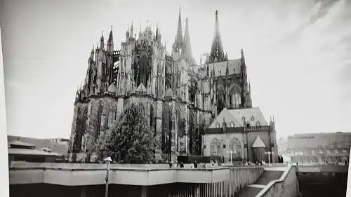 Original Altes Foto Köln  Original Leica Print Dr. Grygiel 30 X 24 cm 
