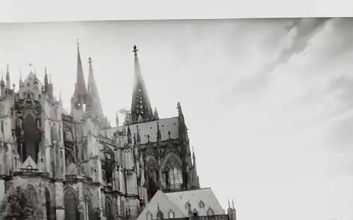 Original Altes Foto Köln  Original Leica Print Dr. Grygiel 30 X 24 cm 