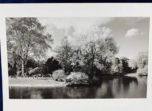 Original Altes Foto Park  Original Leica Print Dr. Grygiel 30 X 24 cm 