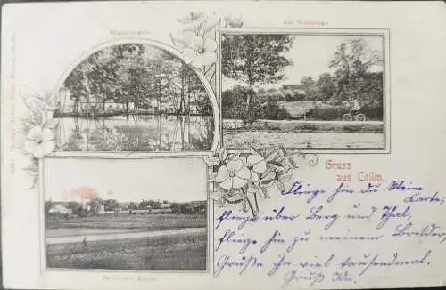 Alte Ansichtskarte Gruß aus Collm