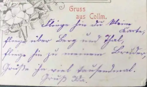 Alte Ansichtskarte Gruß aus Collm