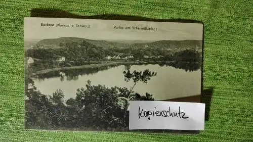 E803/ alte AK - Buckow (Märkische Schweiz) Partie am Scharmützelsee 