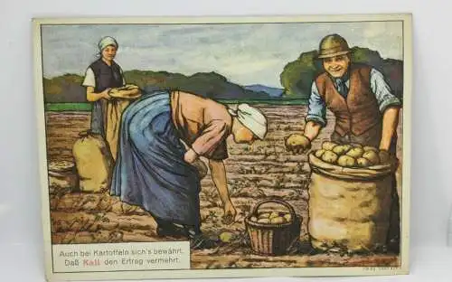 E801/ Werbepostkarte Kali Syndikat Postkarte 30er Jahre