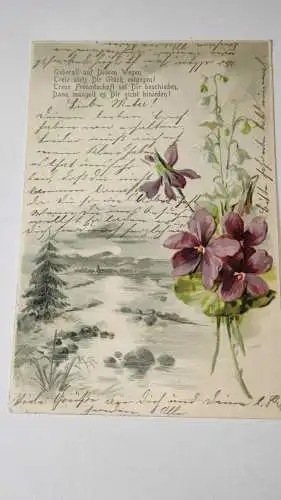 E805/antike Postkarte - Motiv - Blumen