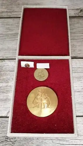 Auszeichnung DDR: Kunstpreis der DSF, nicht tragbare/tragbare Medaille IS Etui