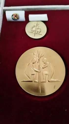 Auszeichnung DDR: Kunstpreis der DSF, nicht tragbare/tragbare Medaille IS Etui