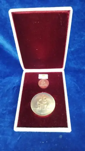 Kunstpreis der DSF, nicht tragbare/tragbare Medaille IS im schlechten Etui