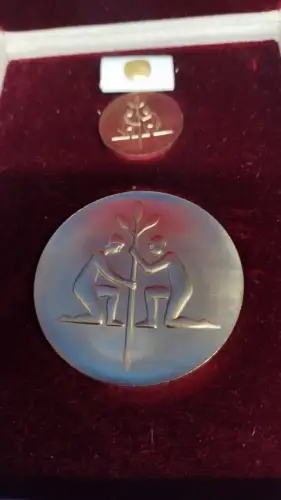 Kunstpreis der DSF, nicht tragbare/tragbare Medaille IS im schlechten Etui