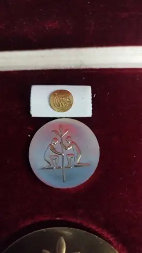 Kunstpreis der DSF, nicht tragbare/tragbare Medaille IS im schlechten Etui