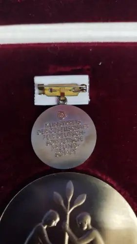 Kunstpreis der DSF, nicht tragbare/tragbare Medaille IS im schlechten Etui