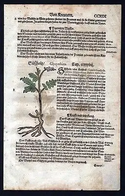 Mangolt / Limonium / Süßholz  - Holzschnitt Kräuterbuch Kräuter herbal Lonicer,