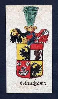 18. Jh - Glauckowa Glaukowa Böhmen Wappen coat of arms Manuskript