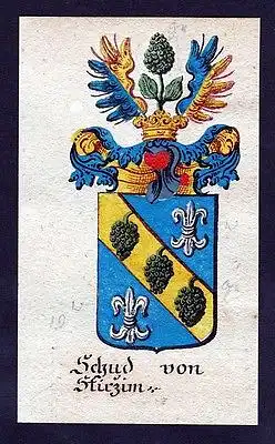 18. Jh - Schud von Stirzim Böhmen Wappen coat of arms Manuskript