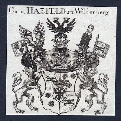 1820 Hazfeld Wildenberg Hatzfeld Hessen Wappen Adel coat of arms engraving