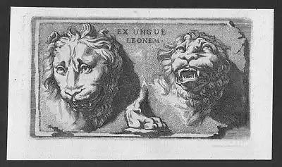 1700 Ex Ungue Leonem - Löwen lions Löwe lion baroque etching Kupferstich